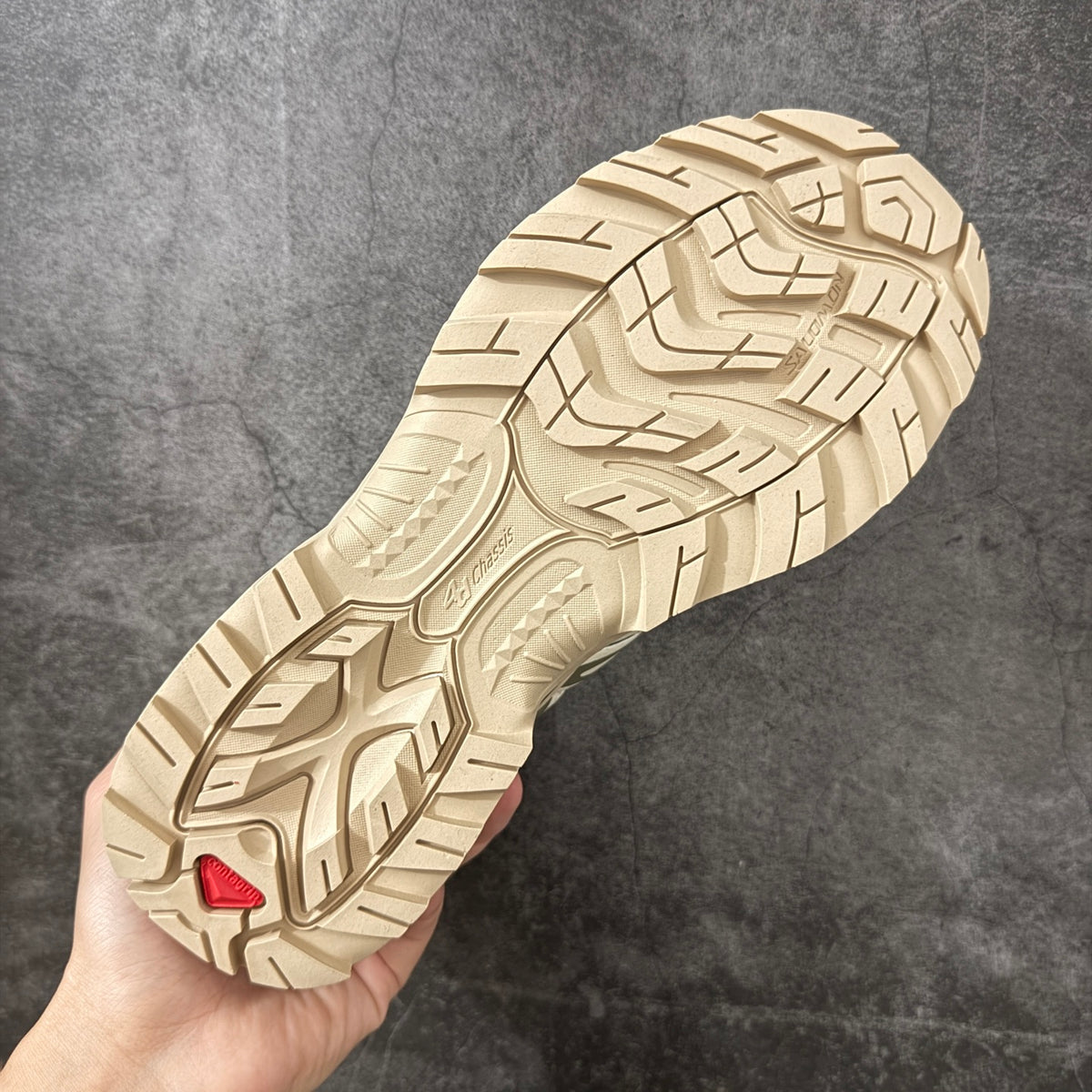 Salomon XT-Quest ADV supplier photo 9