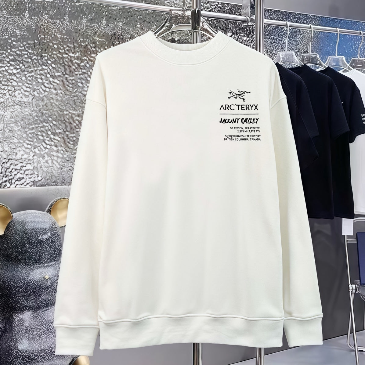 Arctaryx Loopback Sweatshirt #07
